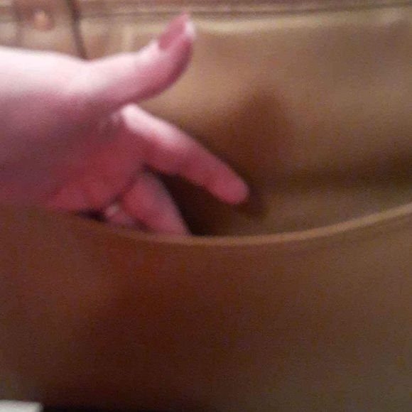 Lucky Dog Carrier-Gold - Picture 5 of 6